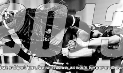 voeux 2013