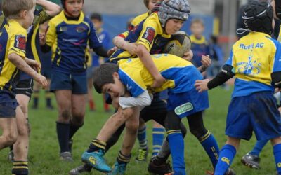 Resultats U8/U10/U12 du 22 nov. 2014