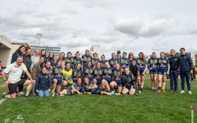 Les Whippets sereines avant les phases finales